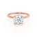PARIS - Round Moissanite & Diamond 18k Rose Gold Hidden Halo Engagement Ring Lily Arkwright