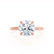 PARIS - Round Natural Diamond 18k Rose Gold Hidden Halo Engagement Ring Lily Arkwright