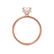 PARIS - Round Moissanite & Diamond 18k Rose Gold Hidden Halo Engagement Ring Lily Arkwright