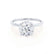 PARIS - Round Moissanite & Diamond 18k White Gold Hidden Halo Engagement Ring Lily Arkwright
