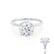 PARIS - Round Natural Diamond Platinum Hidden Halo Engagement Ring Lily Arkwright