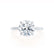 PARIS - Round Lab Diamond 18k White Gold Hidden Halo Engagement Ring Lily Arkwright