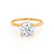 PARIS - Round Moissanite & Diamond 18k Yellow Gold Hidden Halo Engagement Ring Lily Arkwright