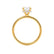 PARIS - Round Moissanite & Diamond 18k Yellow Gold Hidden Halo Engagement Ring Lily Arkwright