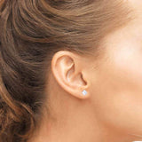 SENA - Round Moissanite 18k Yellow Gold Stud Earrings Earrings Lily Arkwright