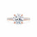 Viola - Round Lab Diamond 18k Rose Gold Shoulder Set Ring Engagement Ring Lily Arkwright