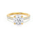 Viola Round cut moissanite lab grown engagement ring 18k yellow gold shoulder set ring by Lily Arkwright