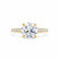 VIOLA - Round Natural Diamond 18k Yellow Gold Shoulder Set Engagement Ring Lily Arkwright